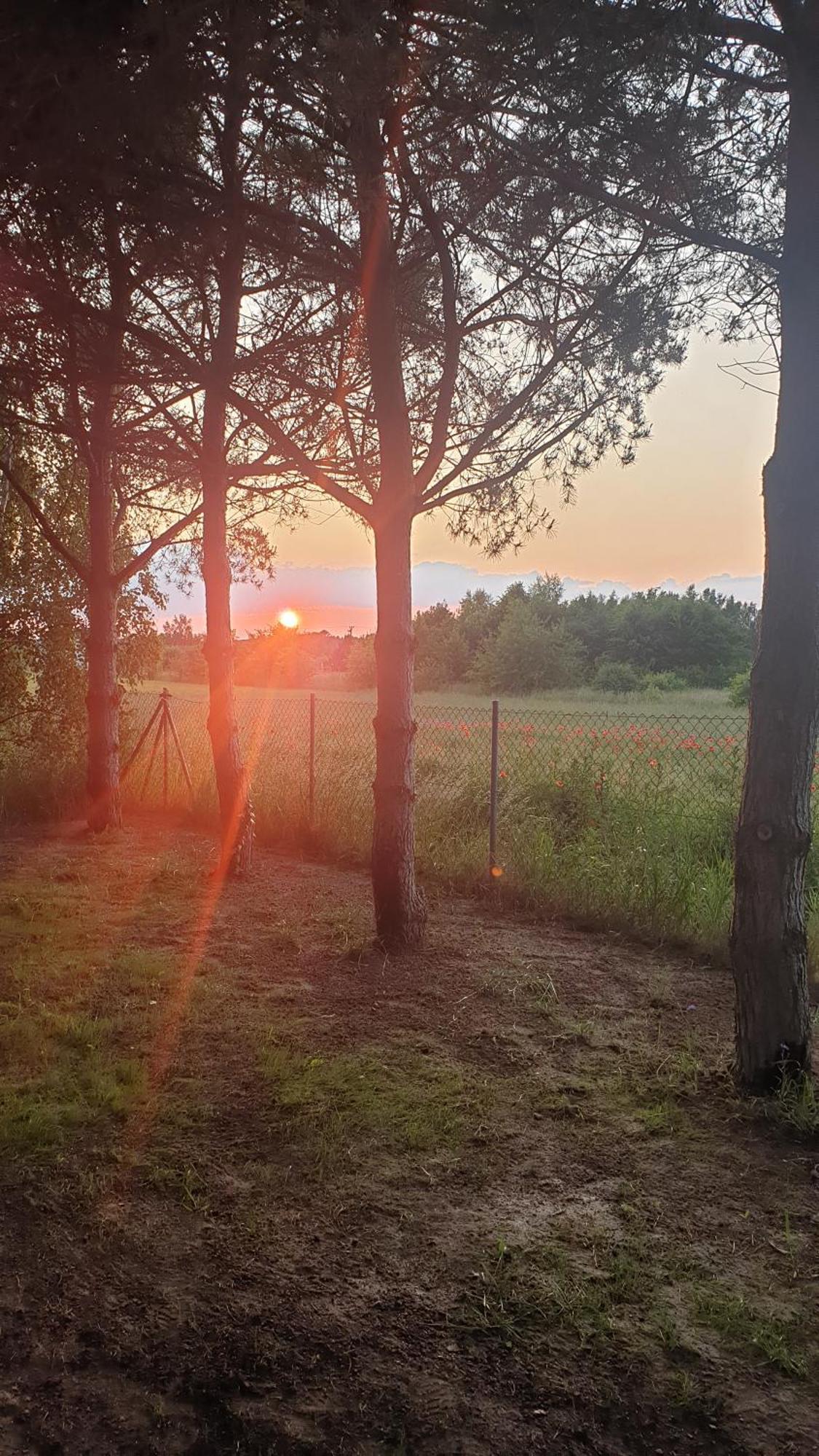 Maciejka Nad Morzem Otel Zastan Dış mekan fotoğraf